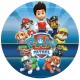 1500R Disc vafa patrula canina Paw Patrol D20cm